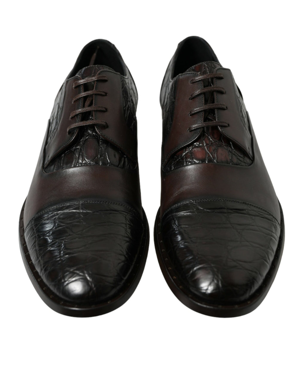 Chaussures de ville habillées pour homme en cuir exotique marron Dolce & Gabbana
