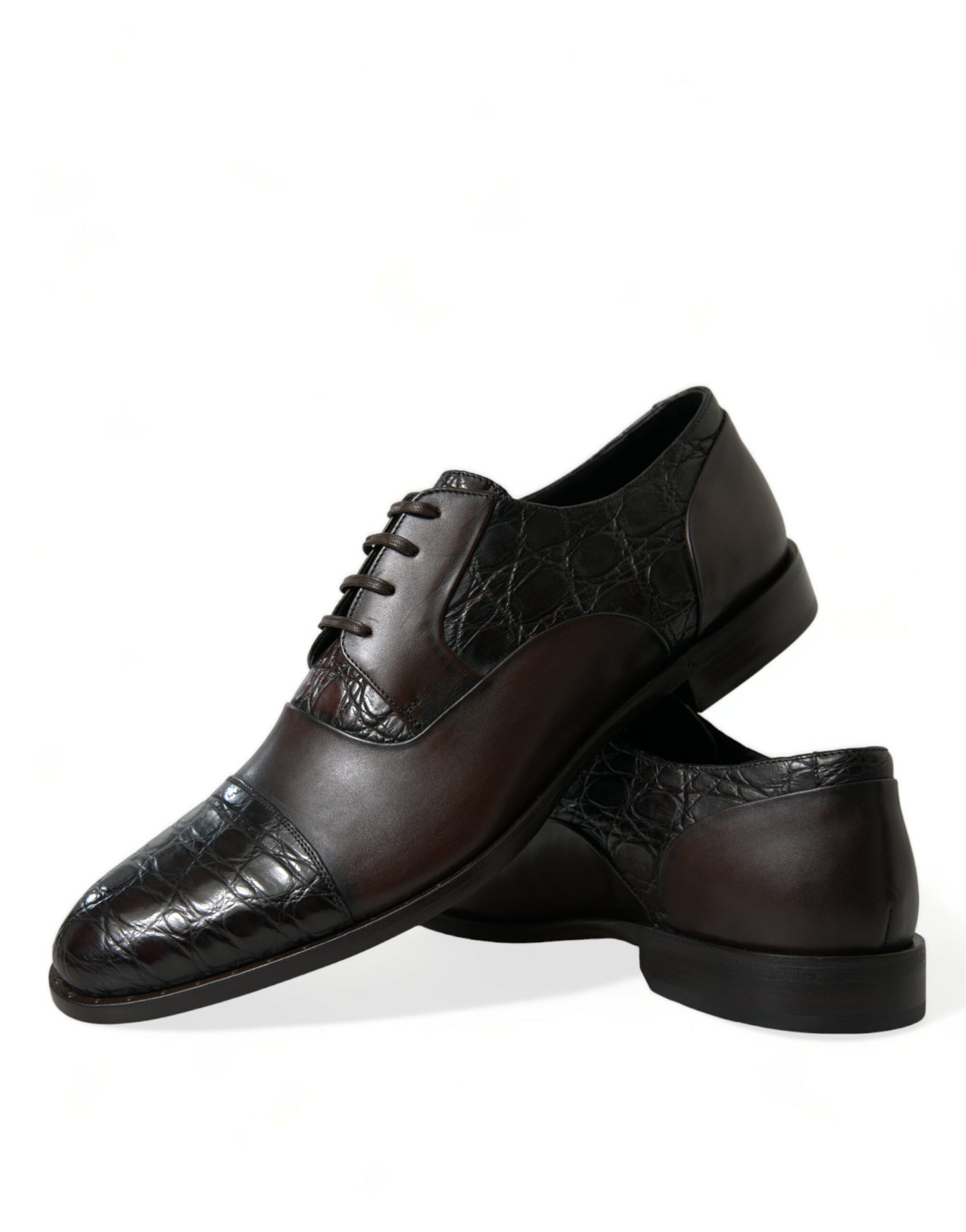 Chaussures de ville habillées pour homme en cuir exotique marron Dolce & Gabbana