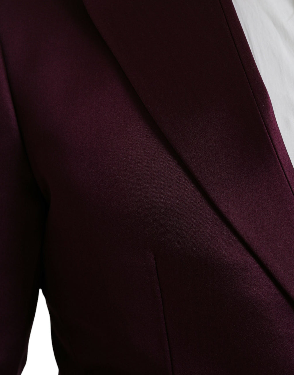 Dolce & Gabbana Red Blazer for Men additional view