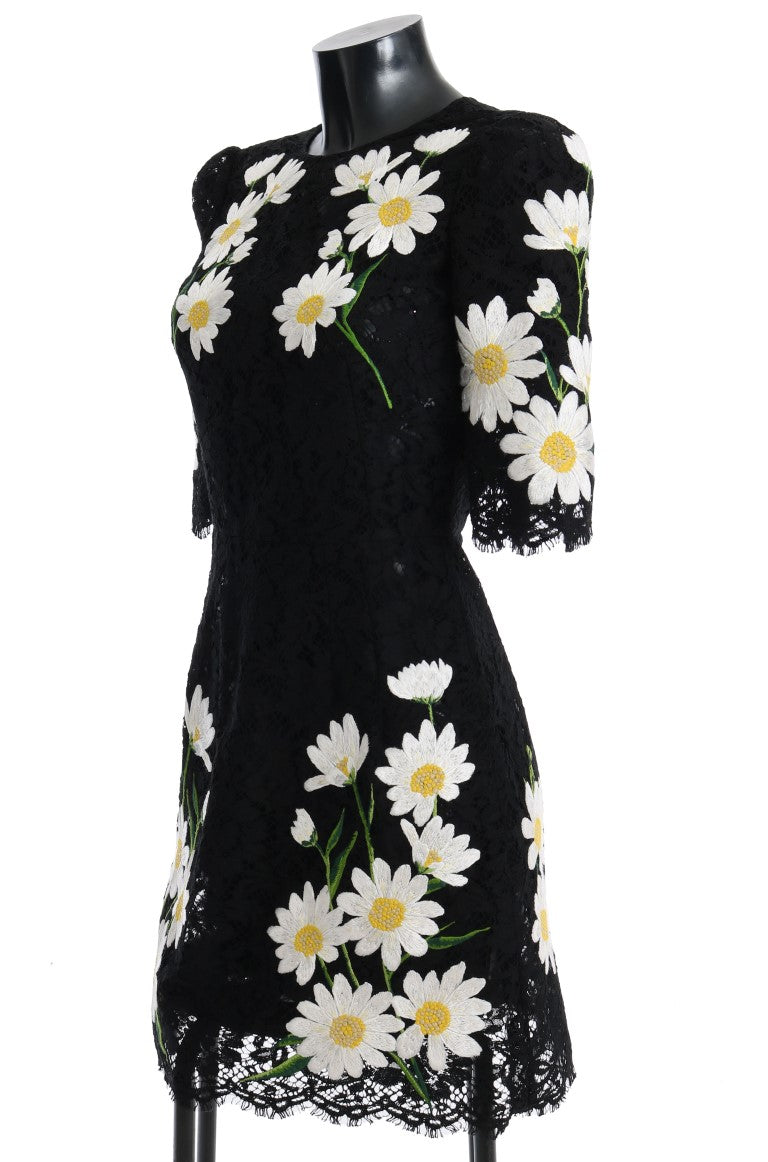 Dolce & Gabbana Black Short for Women alternate view