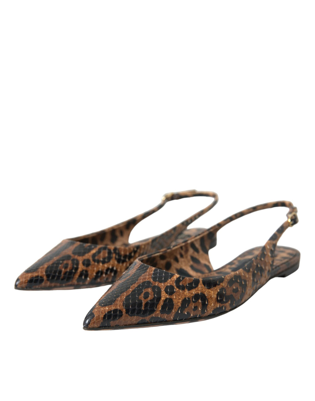 Dolce & Gabbana Brown Ballet Flats for Women detail view