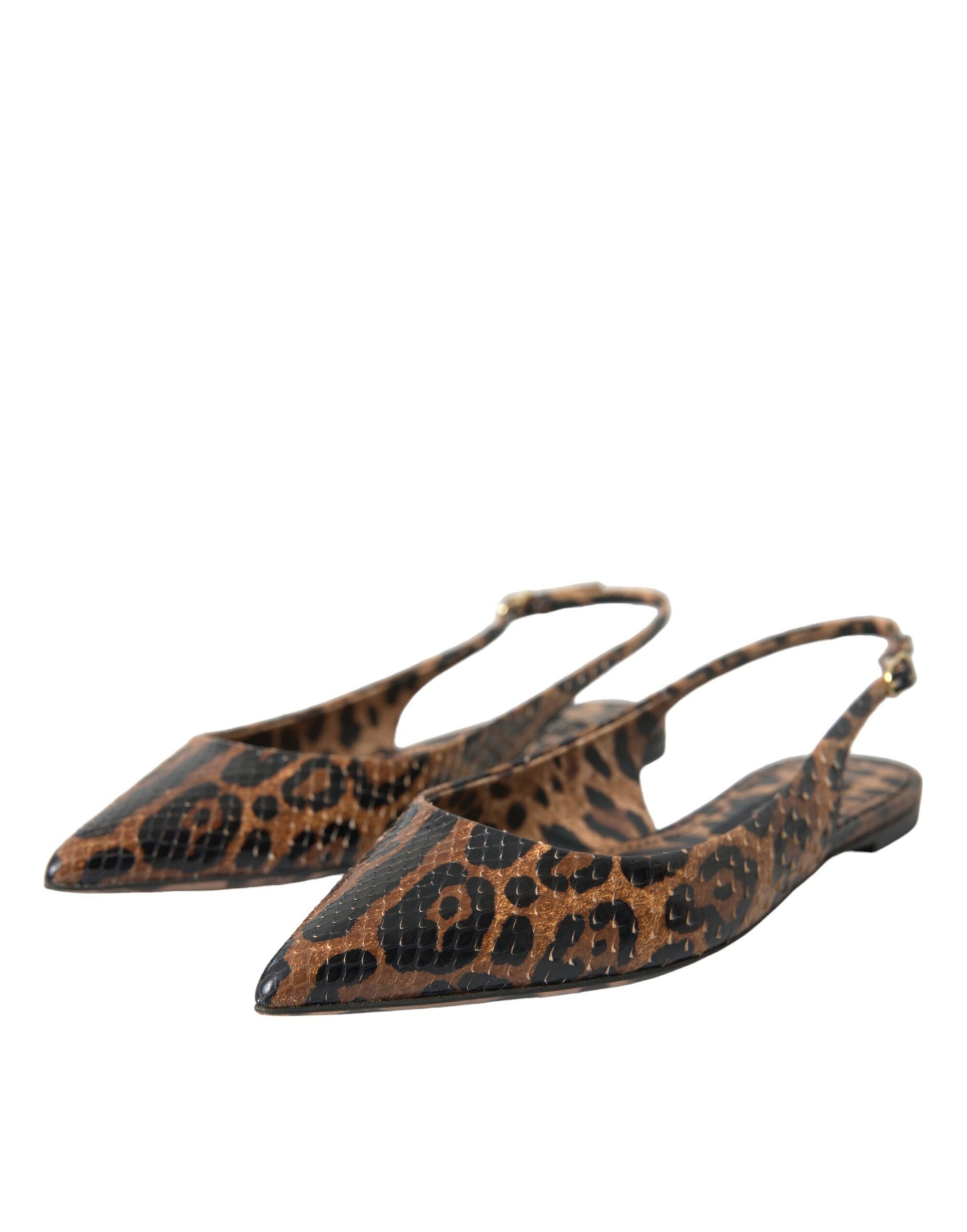 Dolce & Gabbana Brown Ballet Flats for Women detail view