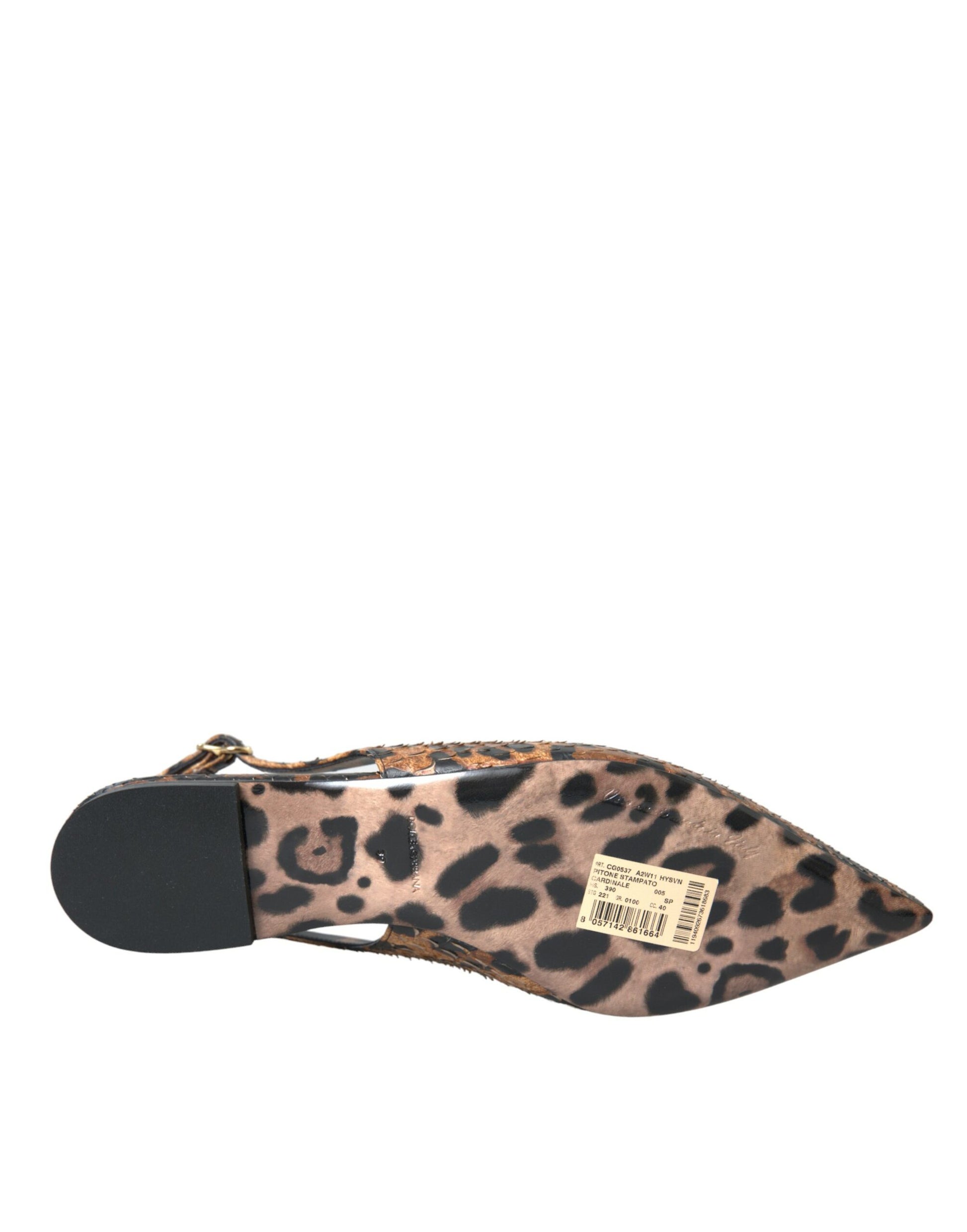 Dolce & Gabbana Brown Ballet Flats for Women additional view