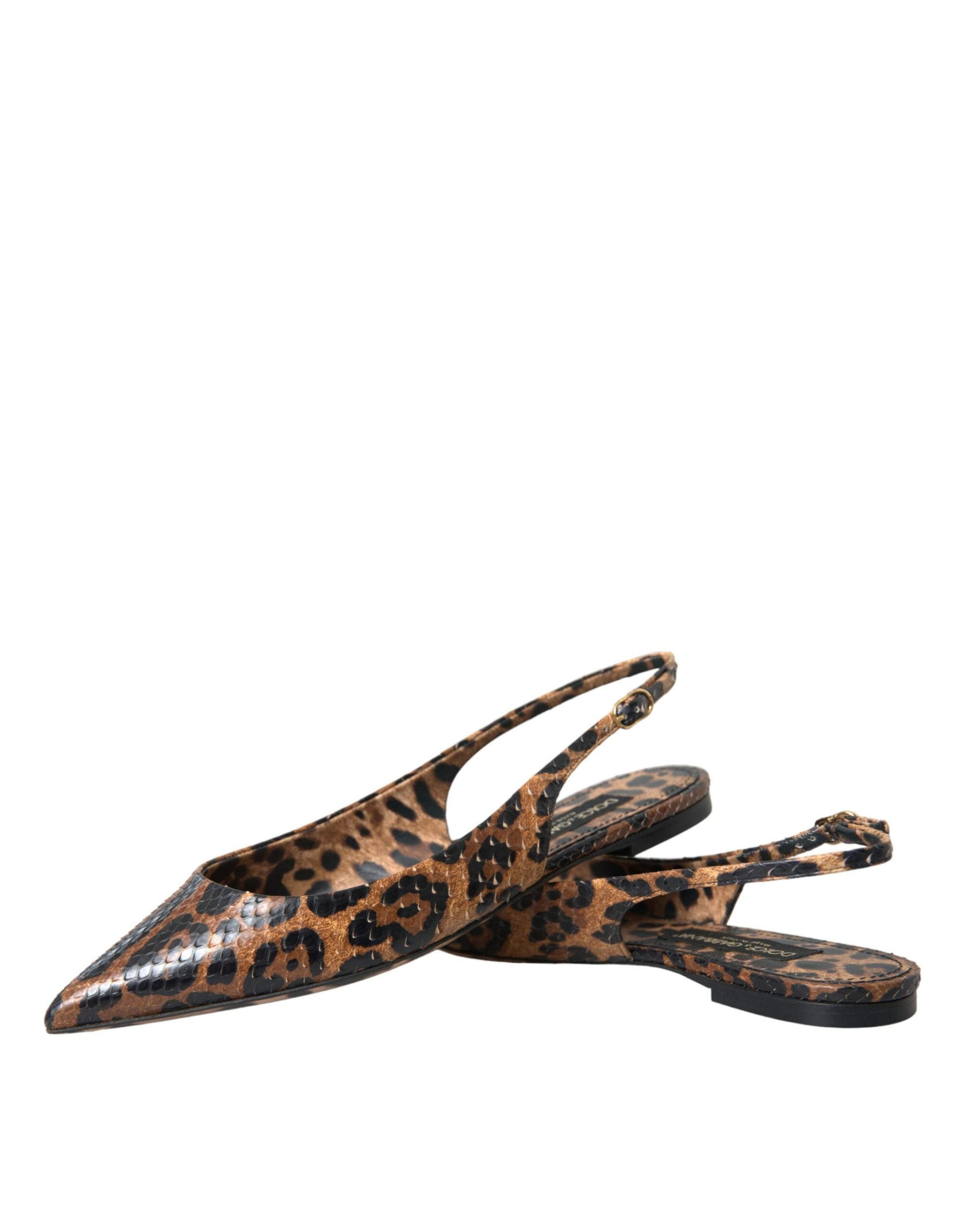 Dolce & Gabbana Brown Ballet Flats for Women additional view