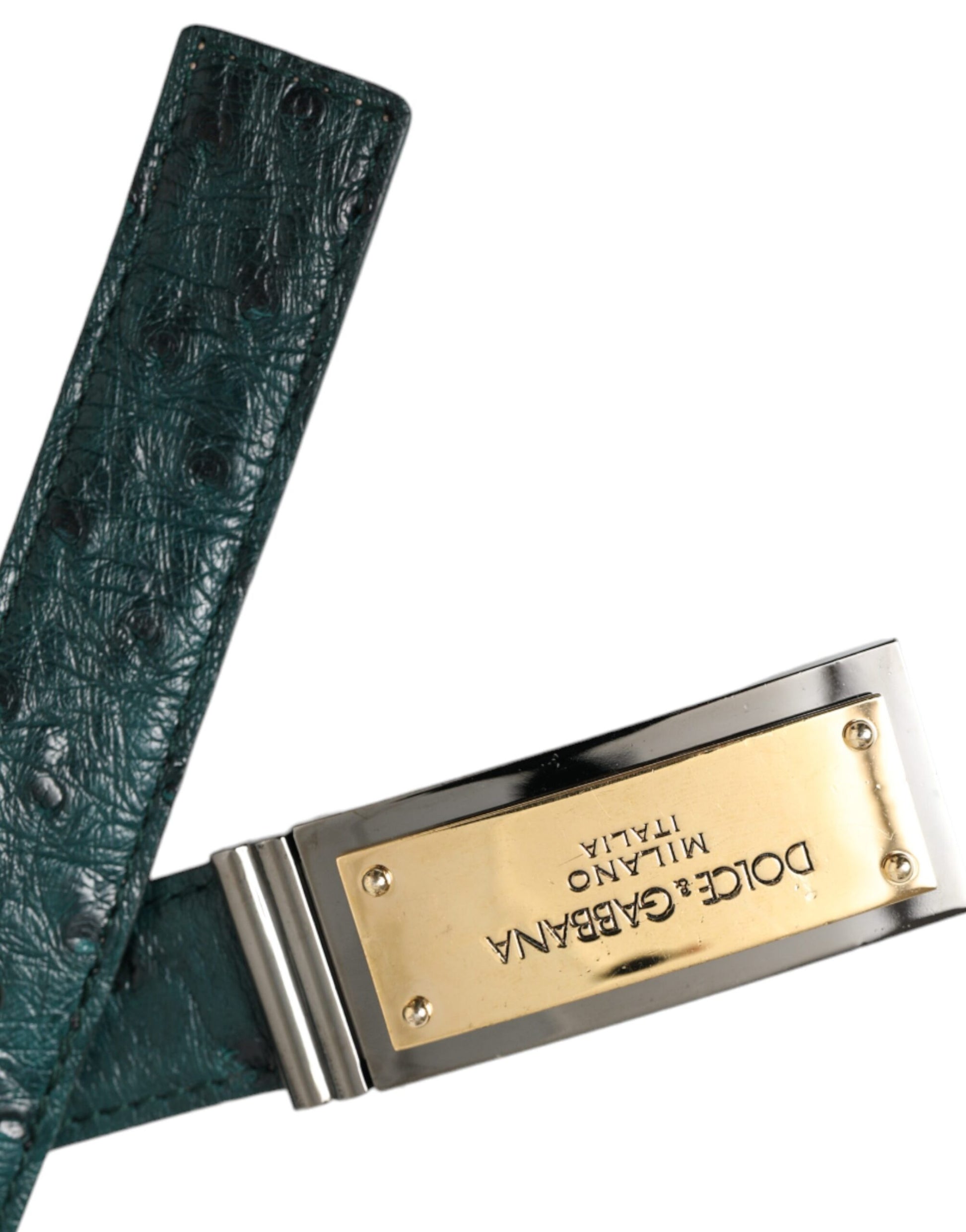 Dolce & Gabbana Green Belt for Women side view