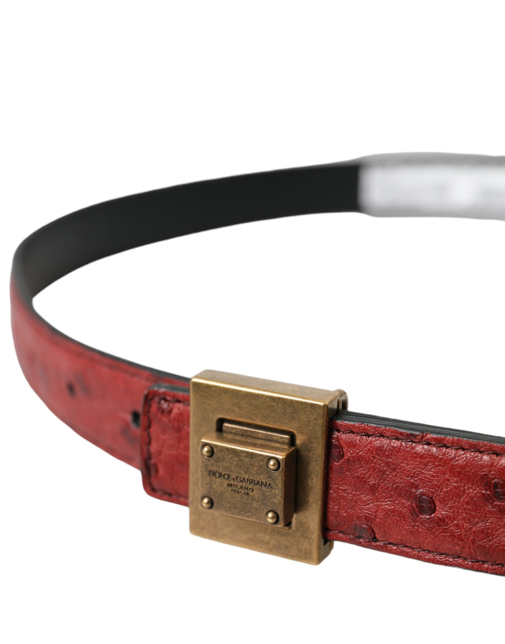 Dolce & Gabbana Brown Belt for Women detail view