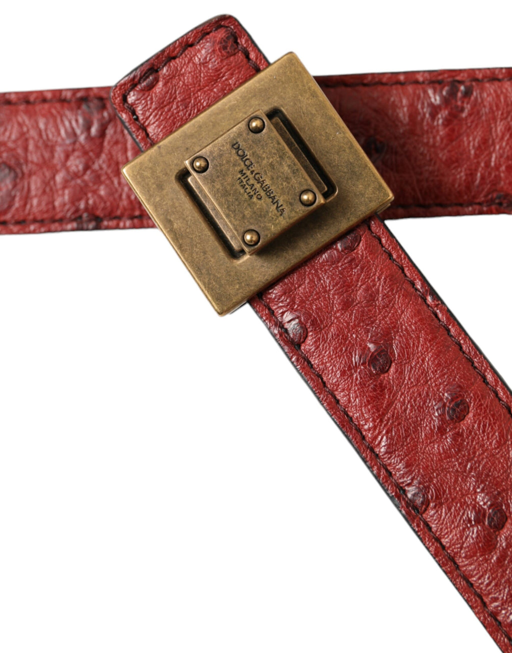 Dolce & Gabbana Brown Belt for Women side view