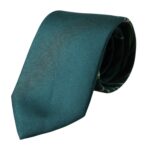 Dolce & Gabbana Green Ties for Men alternate view