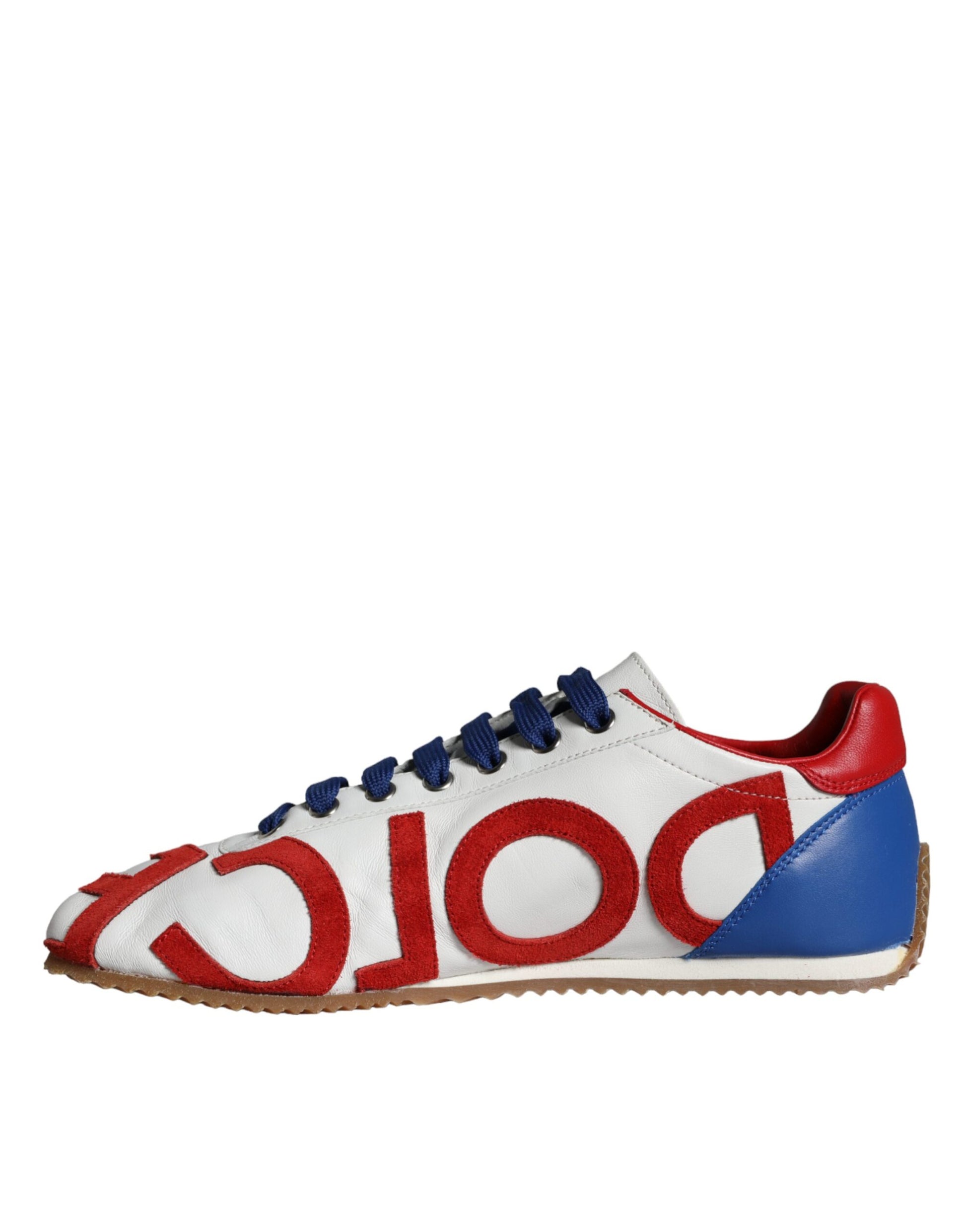 Dolce & Gabbana Multicolor Low Top Sneakers for Women additional view