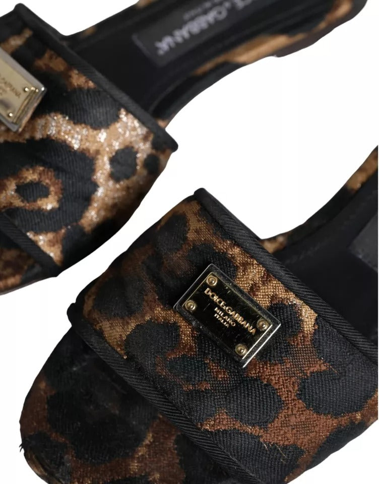 Dolce & Gabbana Brown Flat for Women additional view