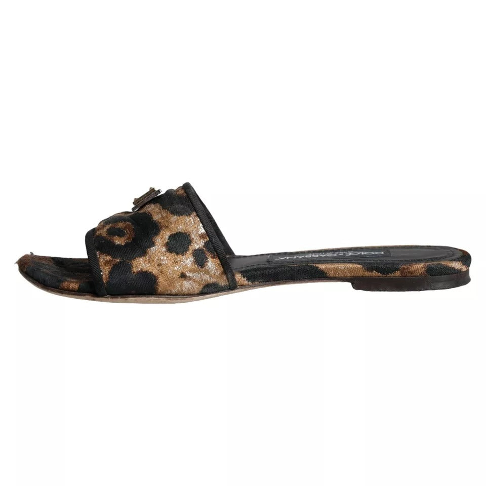 Dolce & Gabbana Brown Flat for Women additional view