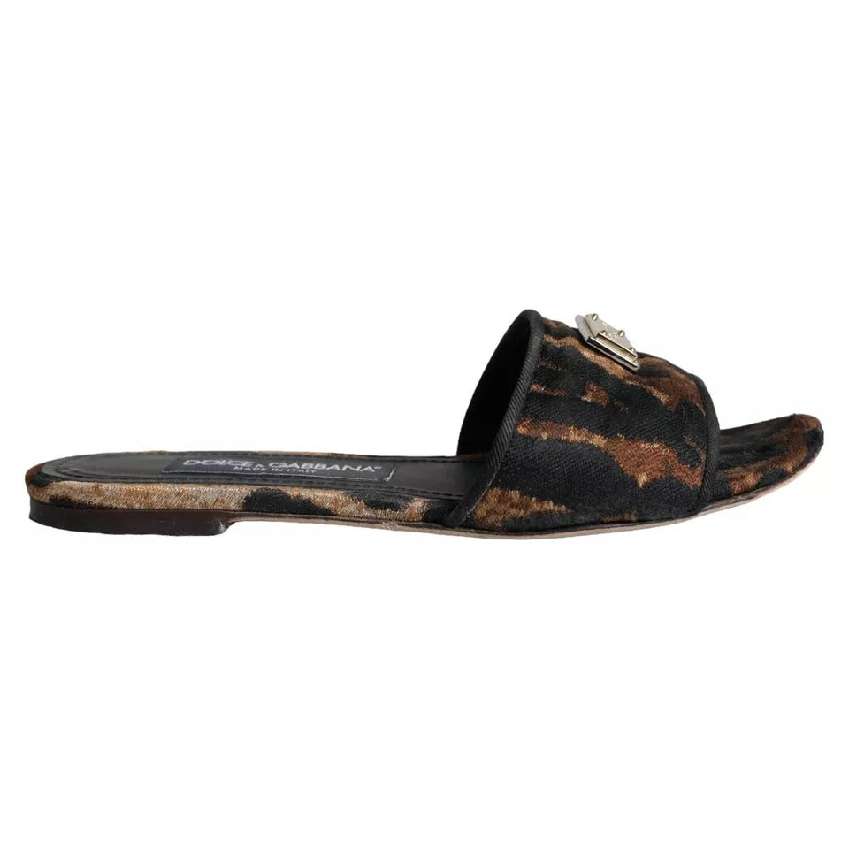 Dolce & Gabbana Brown Flat for Women