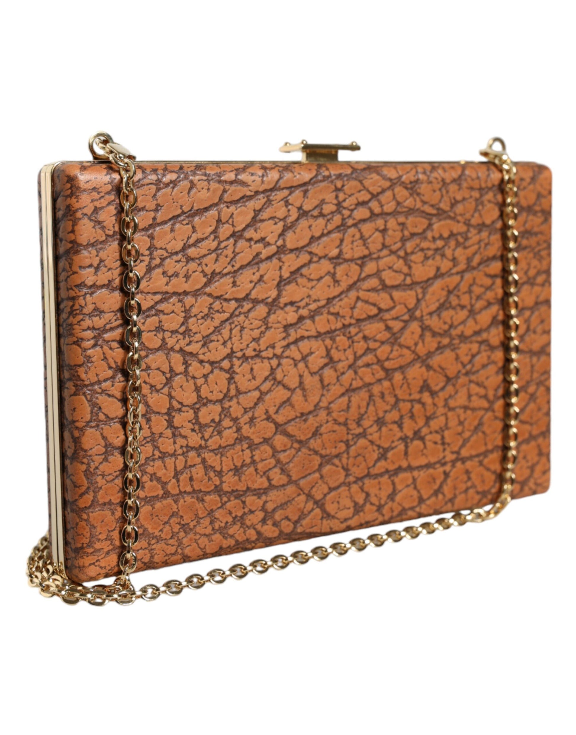 Dolce & Gabbana Brown Clutch Bag for Women detail view