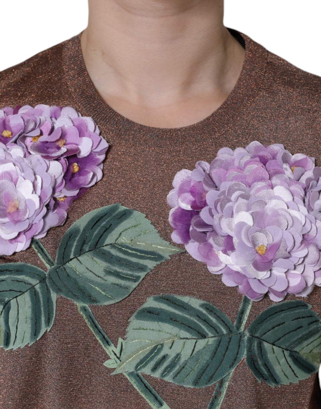 Dolce & Gabbana Brown T-Shirt for Women additional view
