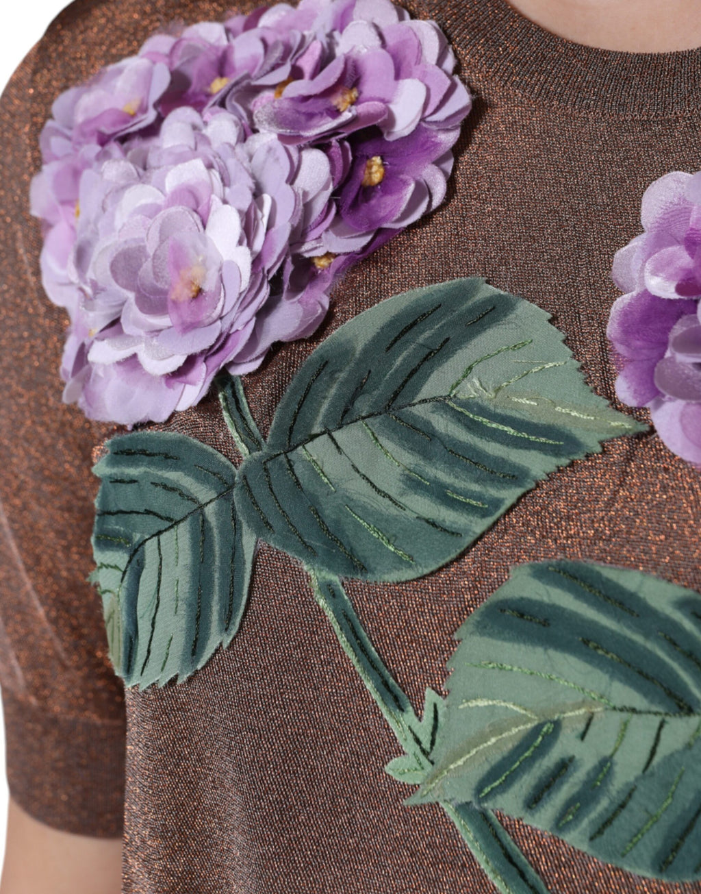 Dolce & Gabbana Brown T-Shirt for Women additional view