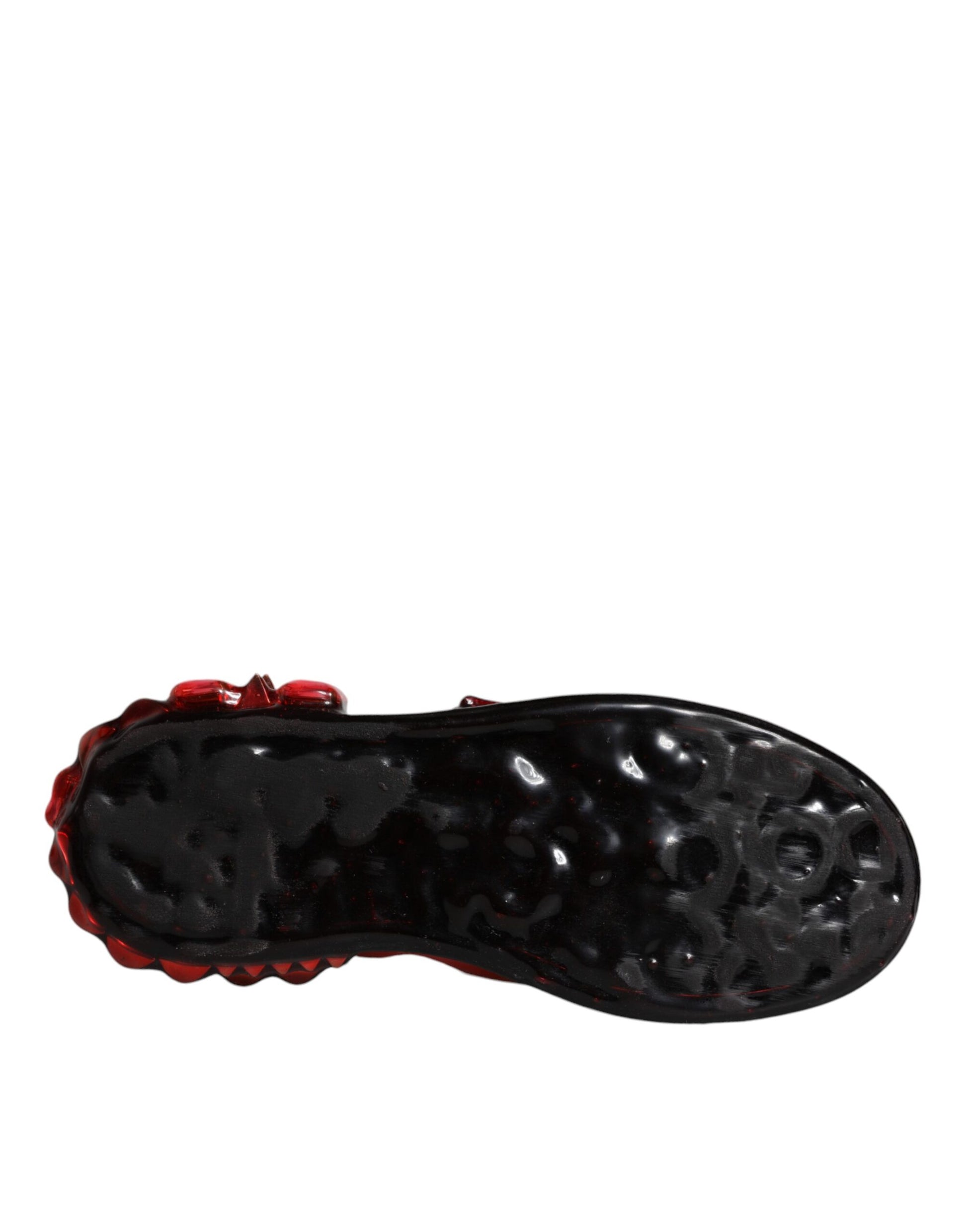 Dolce & Gabbana Multicolor Low Top Sneakers for Women additional view