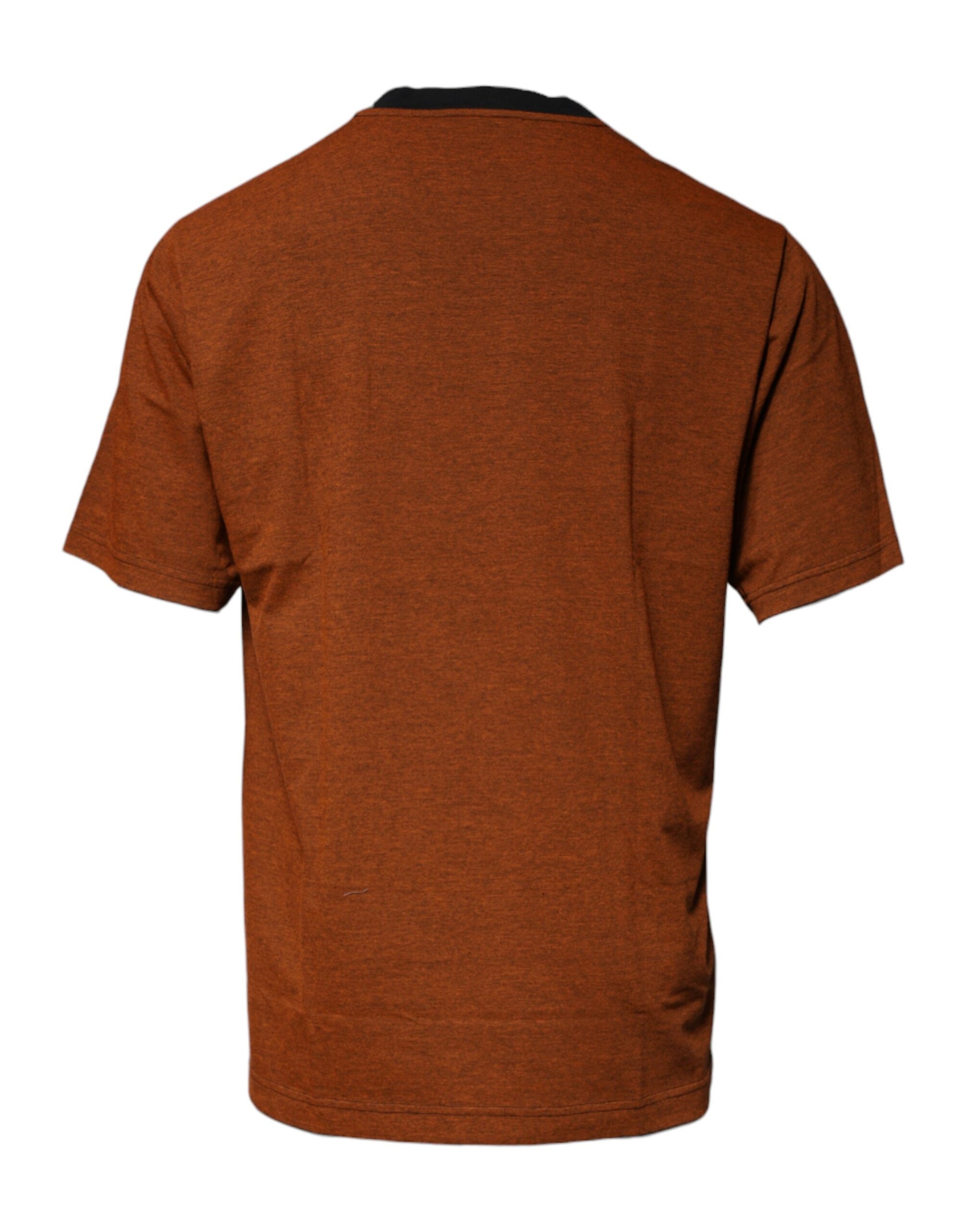 Dolce & Gabbana Brown T-Shirt for Men additional view