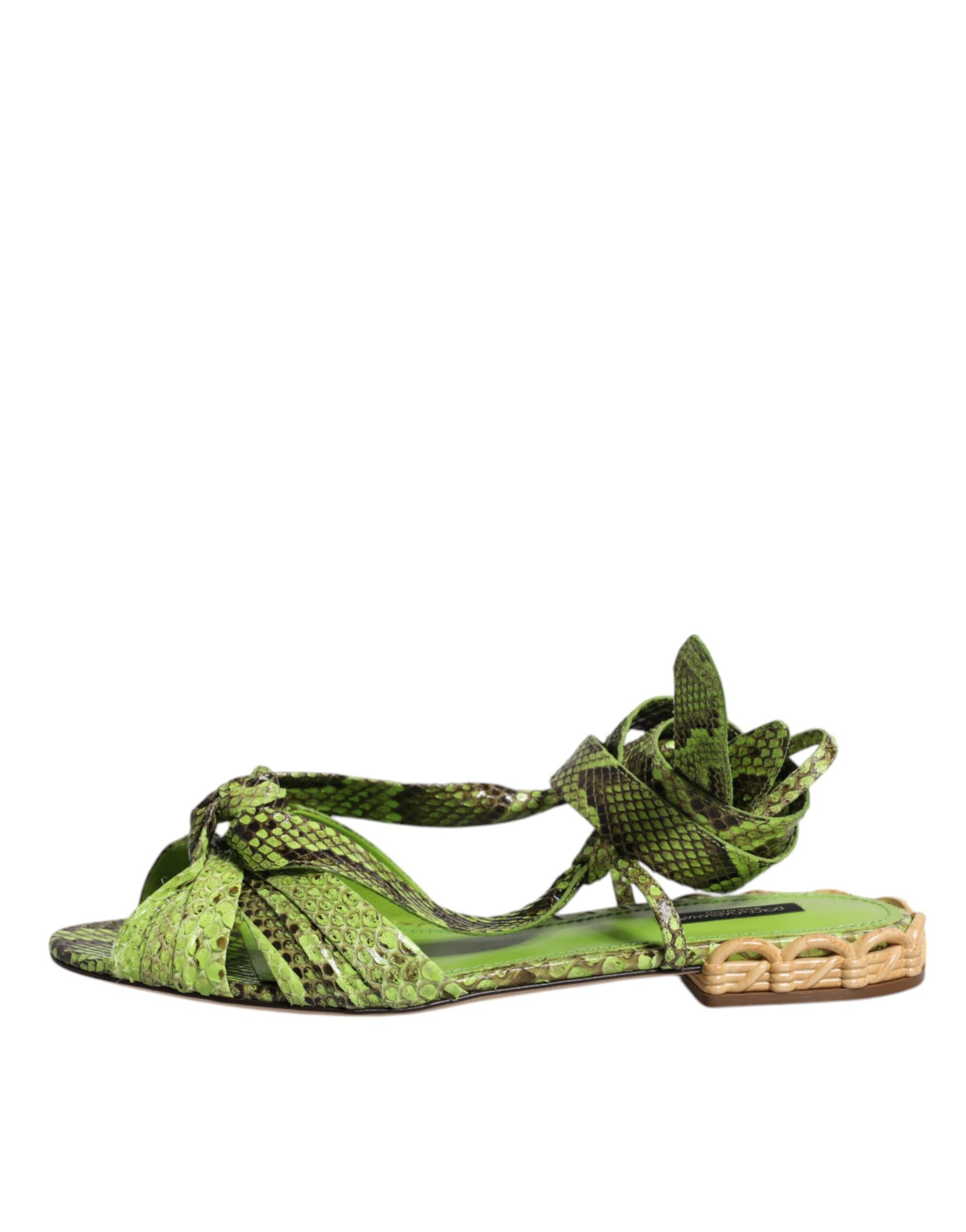 Dolce & Gabbana Green Slides for Women additional view