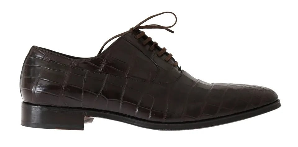 Chaussures habillées en cuir à motif marron Dolce & Gabbana
