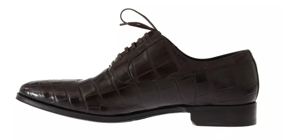 Chaussures habillées en cuir à motif marron Dolce & Gabbana