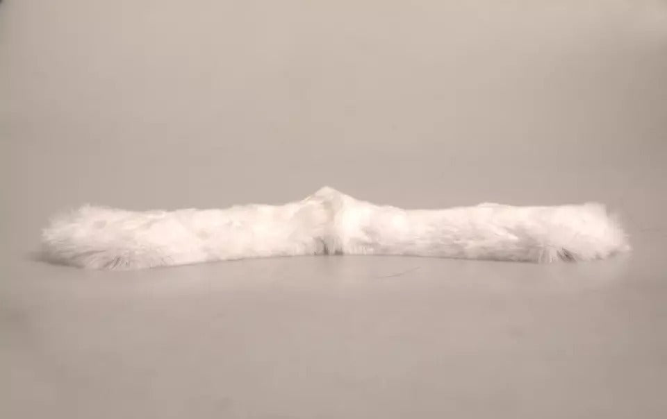 Dolce & Gabbana White Scarf for Women side view