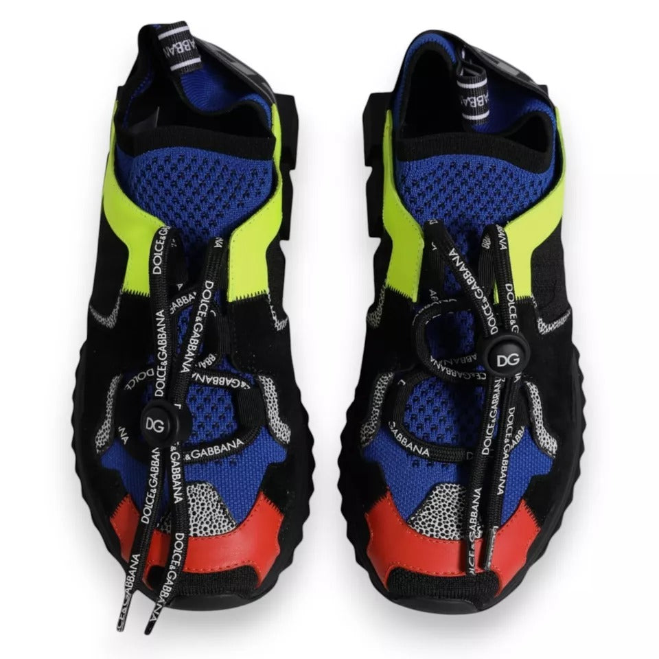 Dolce & Gabbana Multicolor Low Top Sneakers for Women detail view