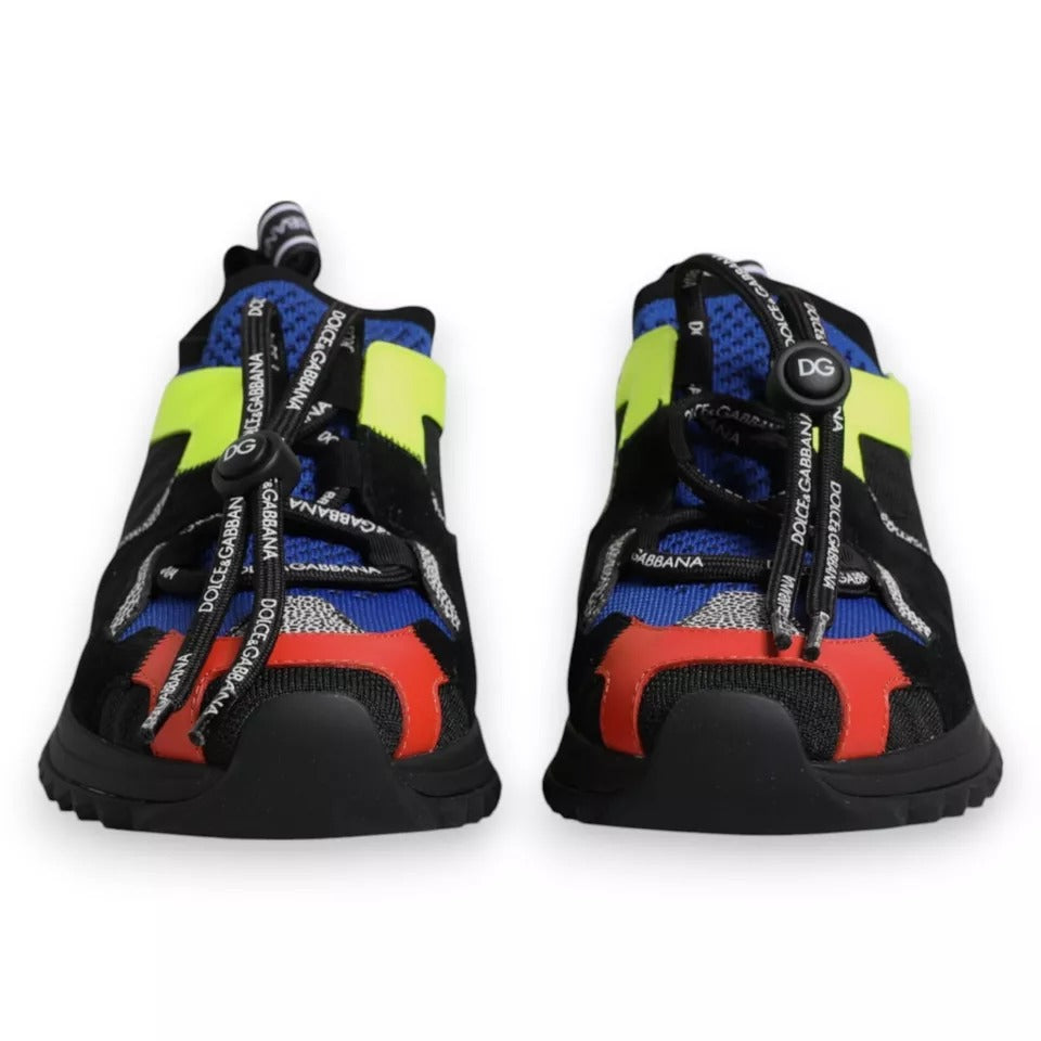 Dolce & Gabbana Multicolor Low Top Sneakers for Women additional view