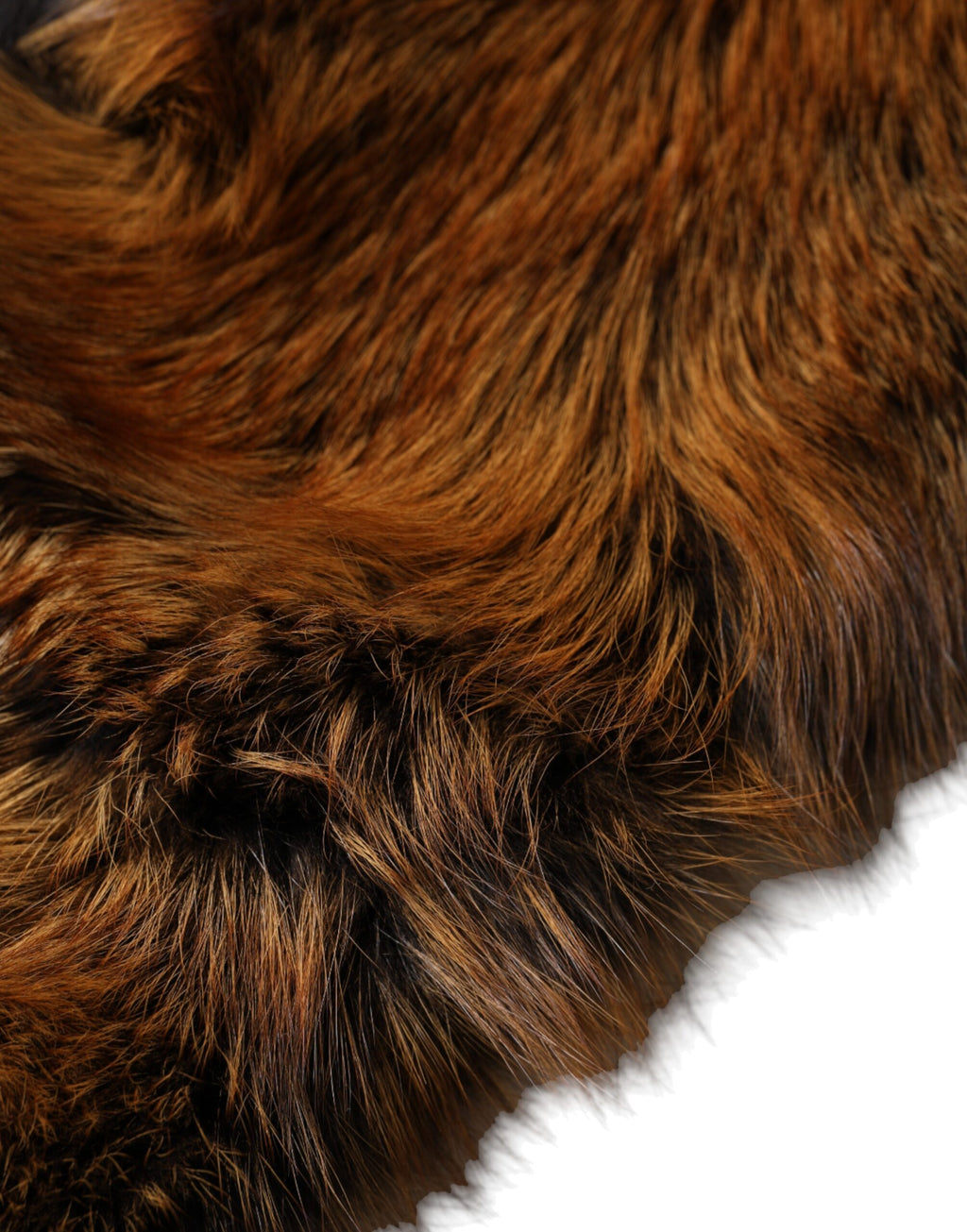 Cache-cou d'hiver Dolce & Gabbana en fourrure de renard roux marron