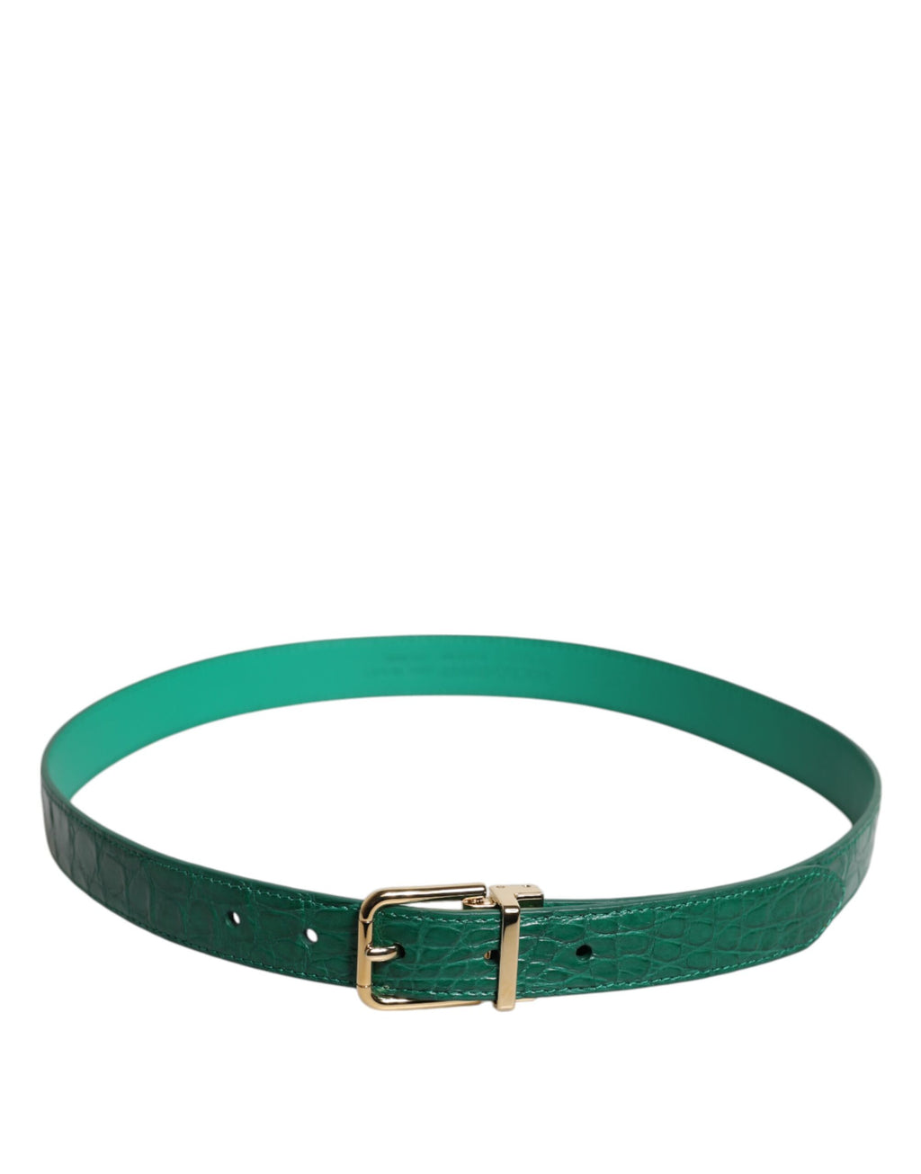 Dolce & Gabbana Green Belt for Women alternate view