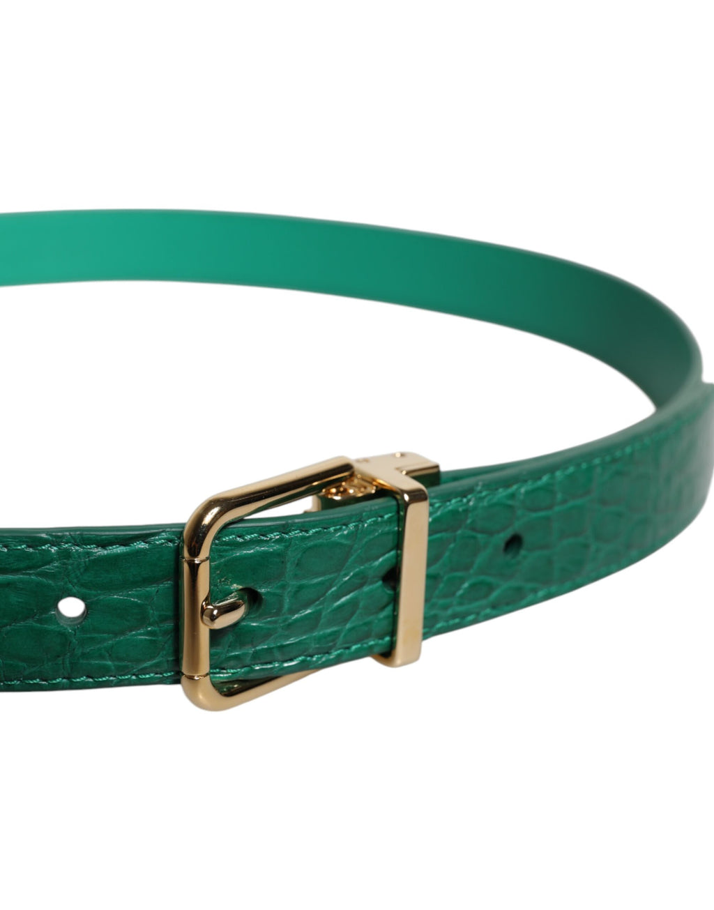 Dolce & Gabbana Green Belt for Women detail view