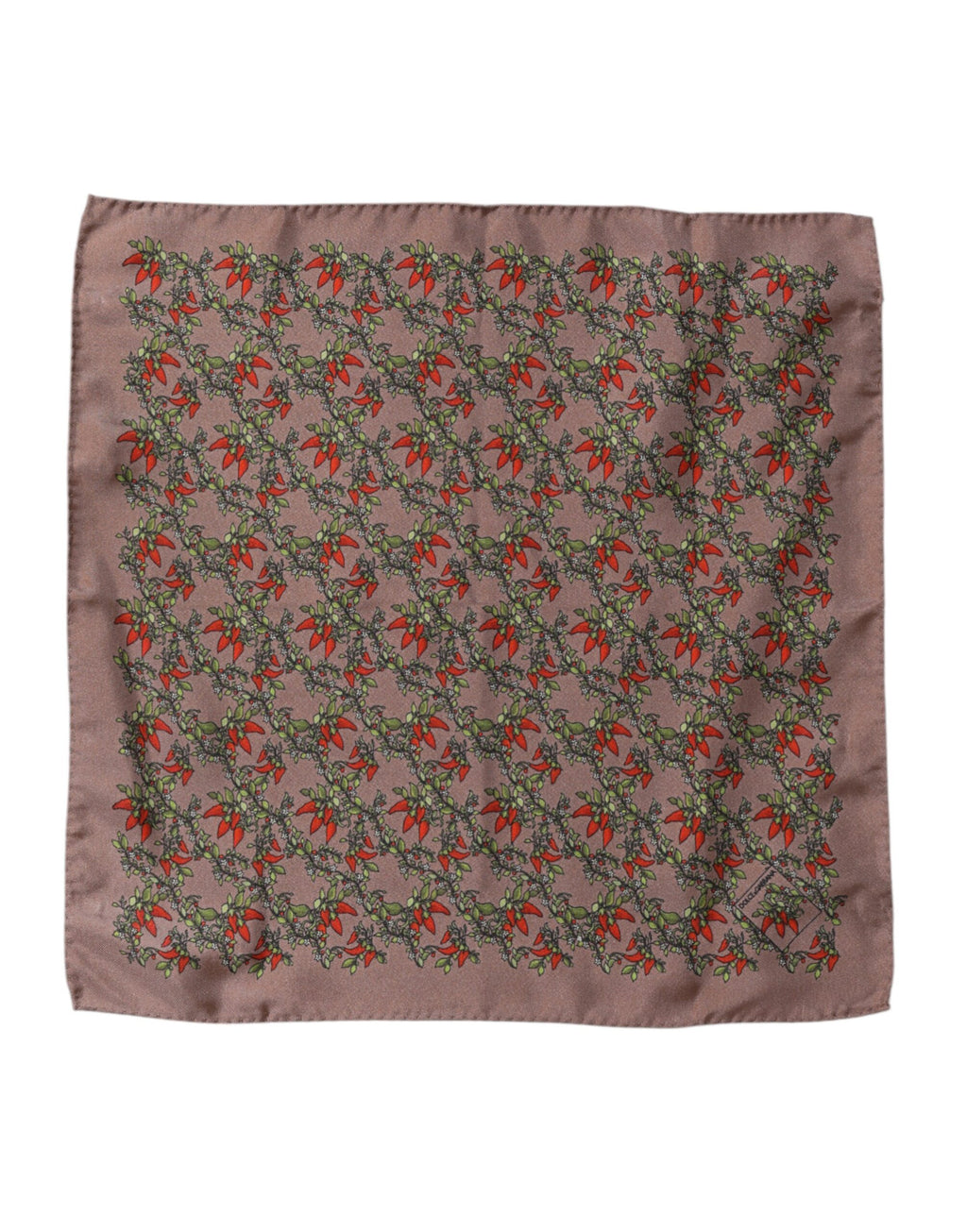 Dolce & Gabbana Brown Scarf for Men