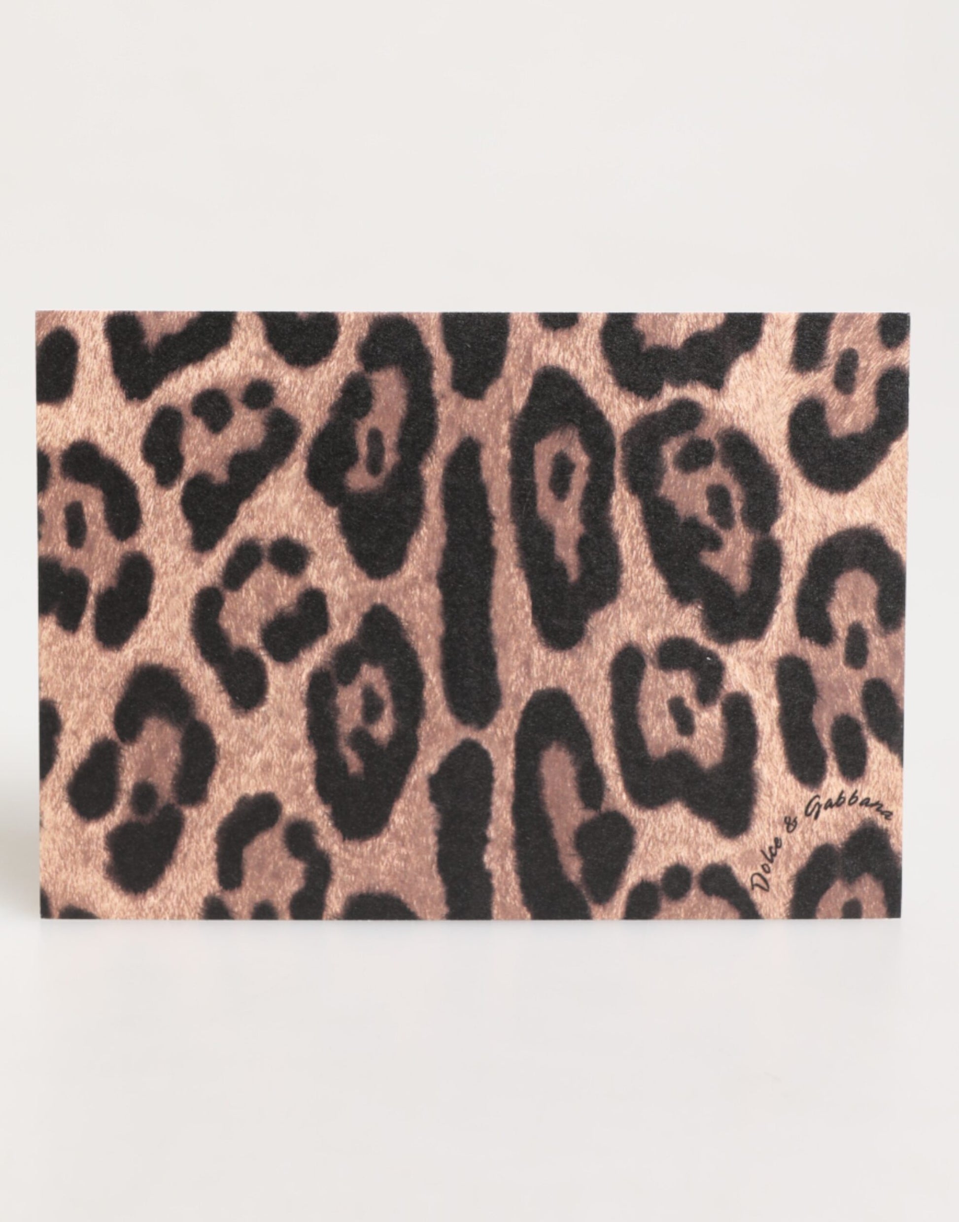 Dolce & Gabbana Multicolor Cardholders for Women