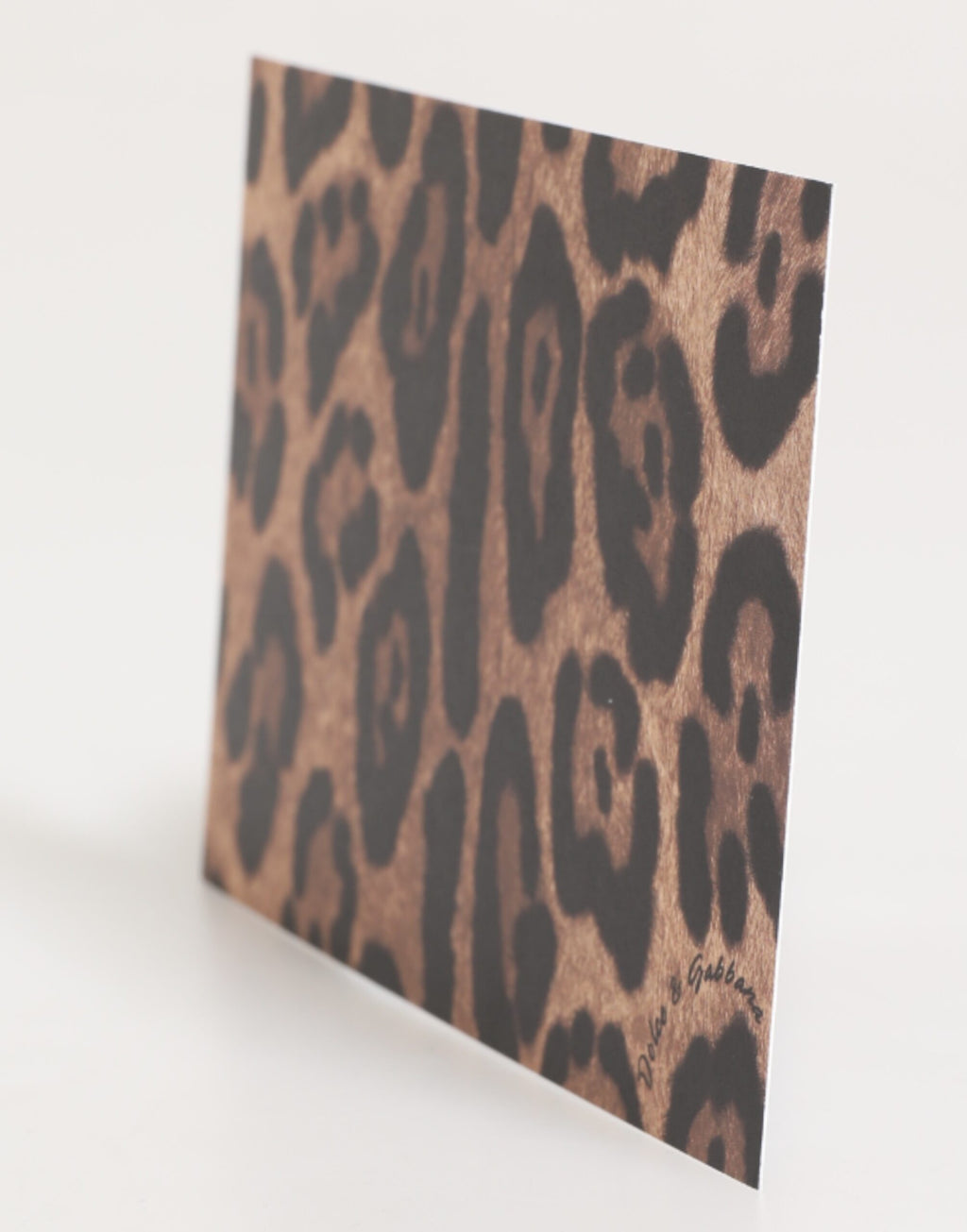 Dolce & Gabbana Multicolor Cardholders for Women side view
