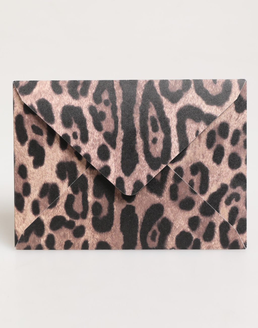 Dolce & Gabbana Multicolor Cardholders for Women additional view