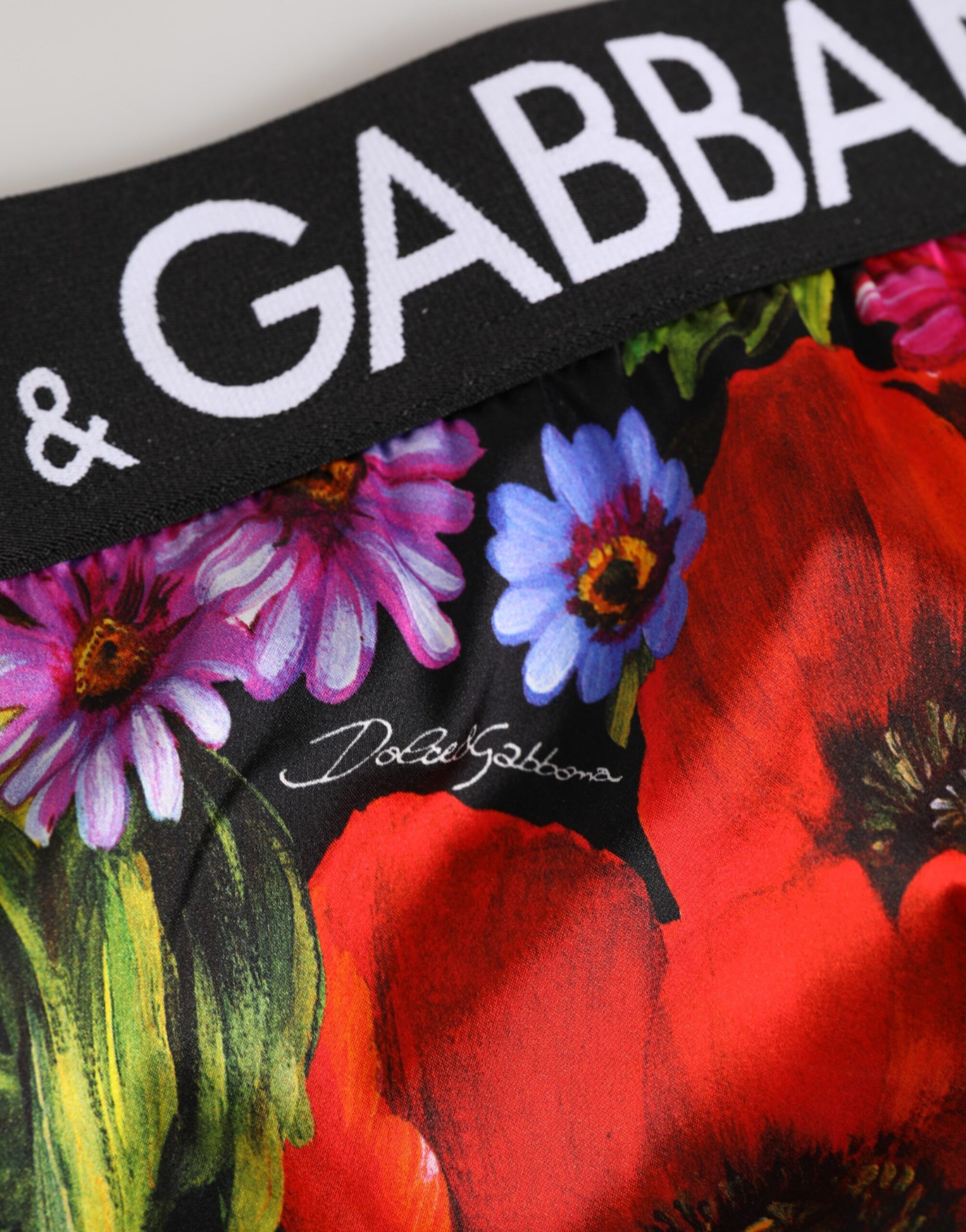 Dolce & Gabbana Multicolor Panties for Women detail view
