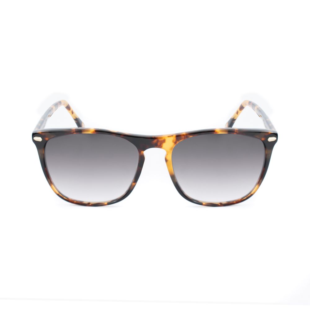 Belstaff Brown Sunglasses for Women alternate view